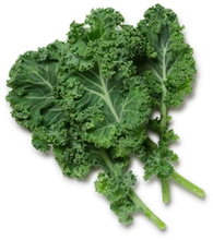 Load image into Gallery viewer, Organic Plant-Based Multivitamin Capsules – Daily Wellness & Natural Immune Support - Nutri Savvee