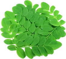 Load image into Gallery viewer, Organic Plant-Based Multivitamin Capsules – Daily Wellness & Natural Immune Support - Nutri Savvee